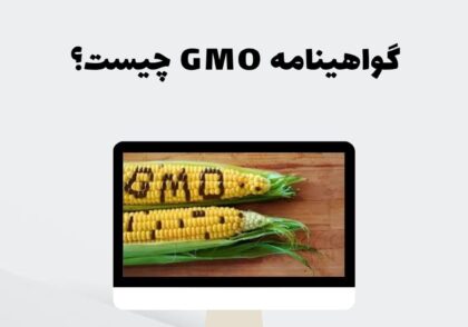 گواهینامه GMO چیست؟