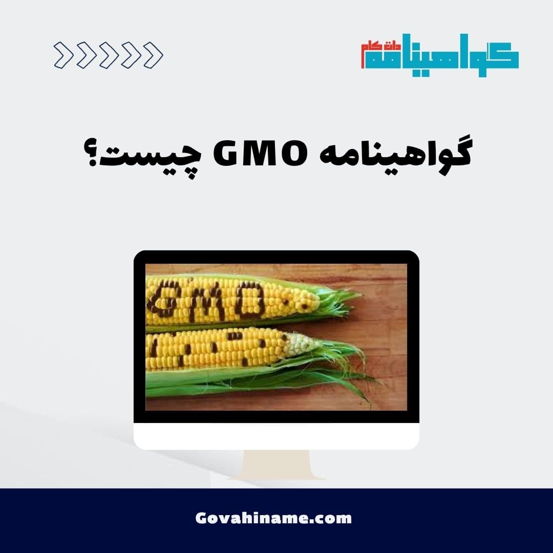 گواهینامه GMO چیست؟